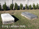 Loudonský hřbitov, Bystřice pod Hostýnem